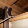 宮崎住宅診断実例。屋根小屋組みの白蟻被害。